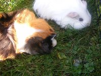 DSCF0770.jpg