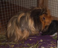 IMG_20180916_192155.jpg (861.24 KiB) Przejrzano 2155 razy IMG_20180916_192155.jpg