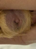 IMG_3746.jpeg