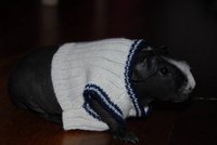 DSC_0386 a.JPG