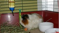 DSC04053.JPG