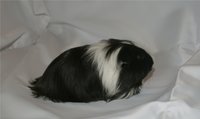 DSC04233.JPG