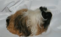 DSC04245.JPG
