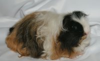 DSC04246.JPG