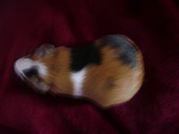 DSC05013.JPG