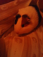 DSC01151.JPG