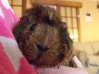 DSCF2542.JPG (156.49 KiB) Przejrzano 3406 razy DSCF2542.JPG