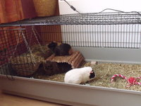 DSCF2596.JPG